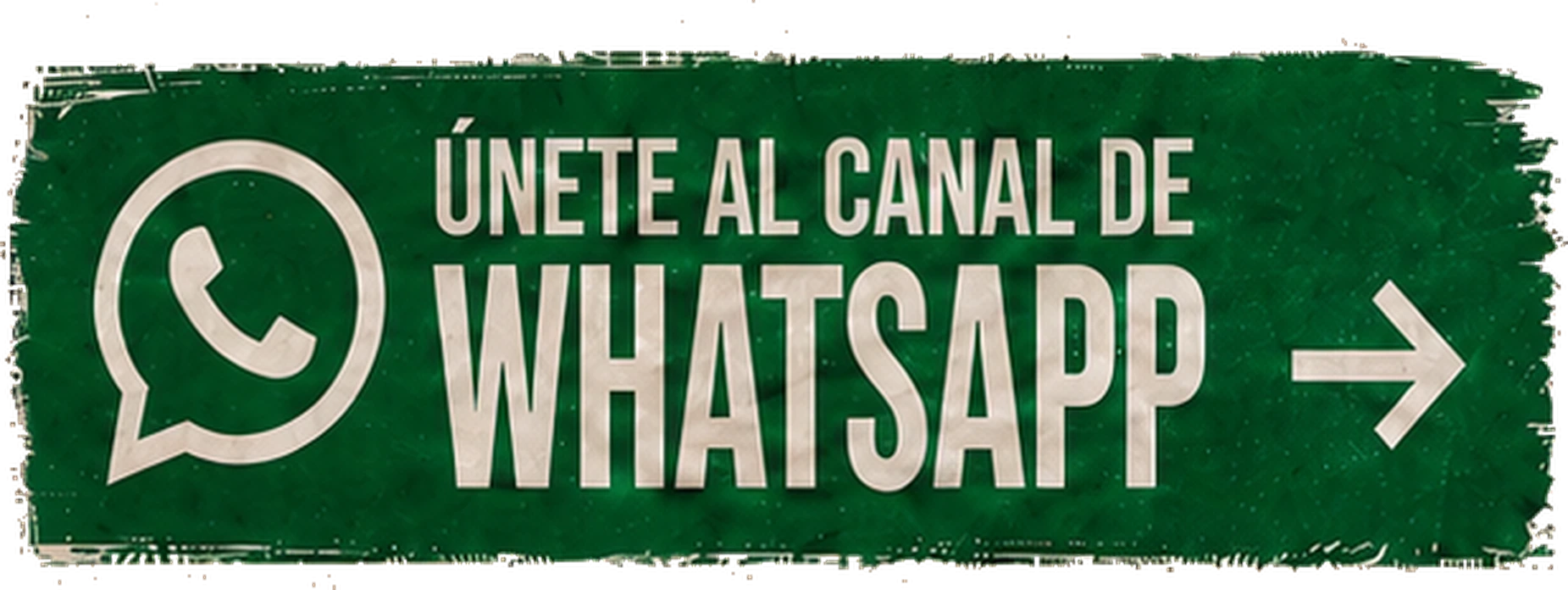Únete al canal de WhatsApp